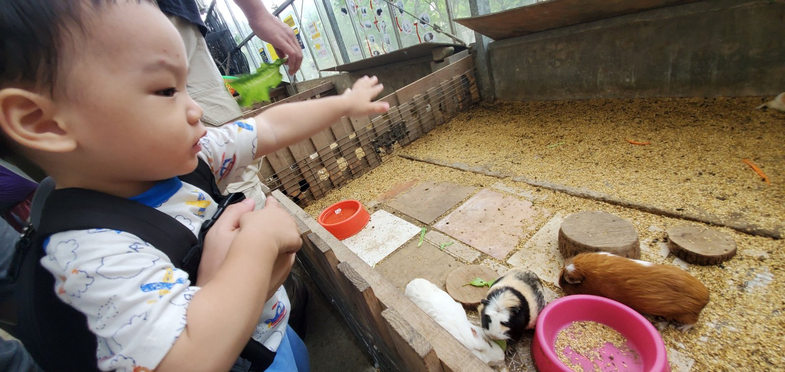 新北五股 準休閒農場：讓小孩放電的地方/ 滿山滿谷的嬰幼兒